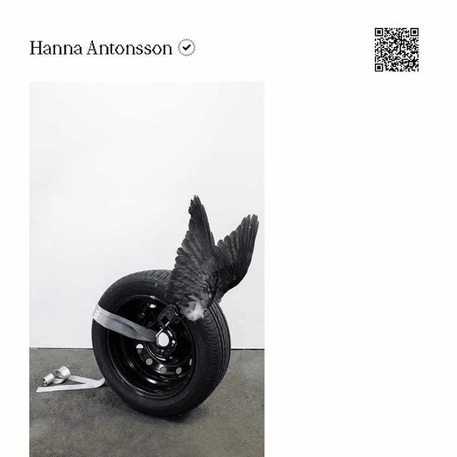 Basel 24 #164 Hanna Antonsson