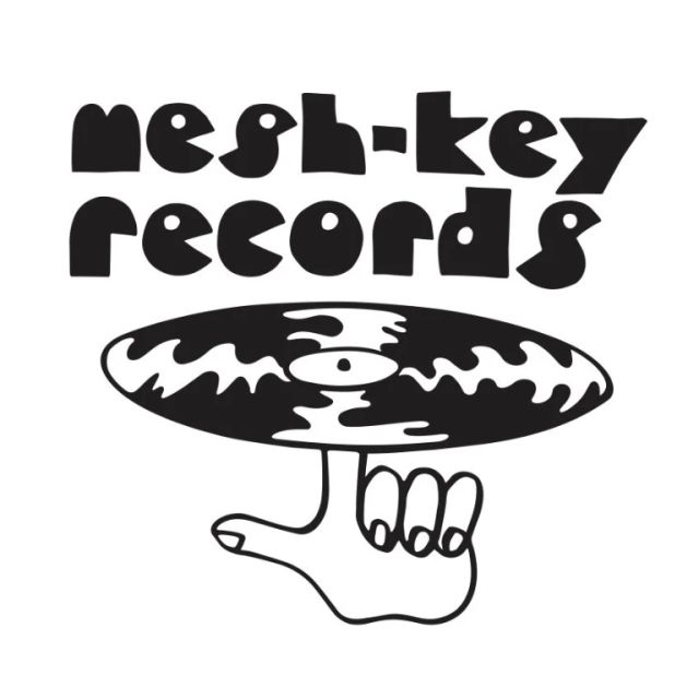 ISSUE 002 @mesh_key_records