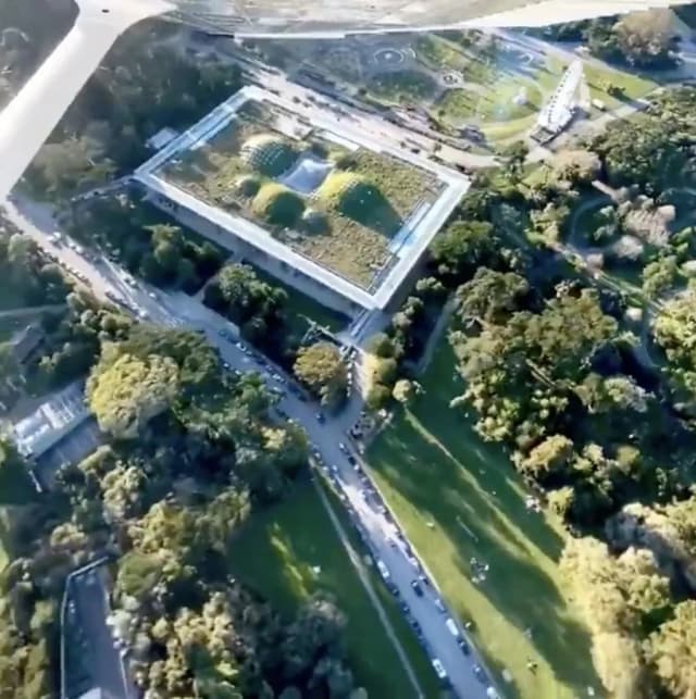 ISSUE 005 @calacademy