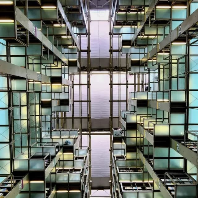 ISSUE 005 @kalach_tax