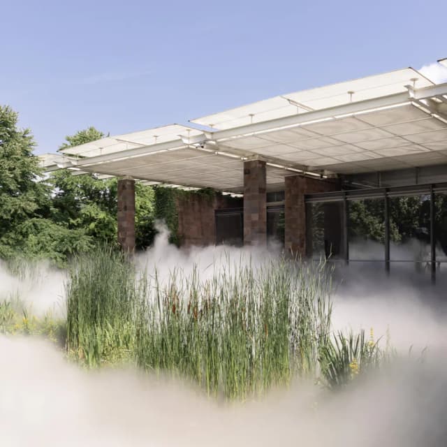 ISSUE 005 @fondationbeyeler