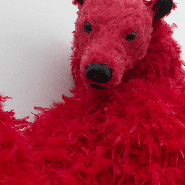 ISSUE 001 @paolapivi