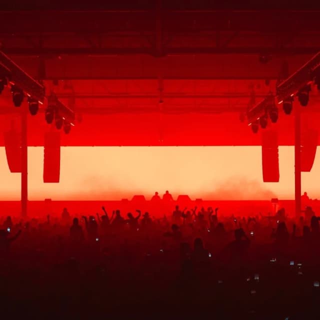 ISSUE 003 @feelmybicep