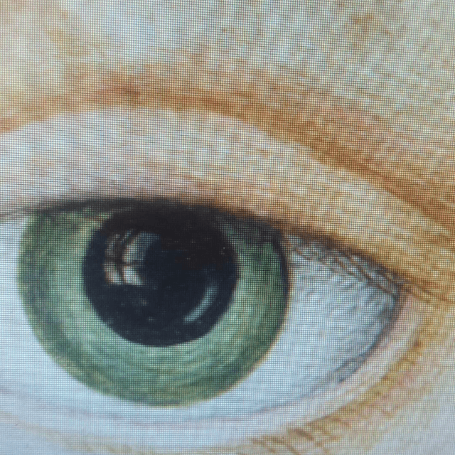 ISSUE 001 @paultopaint