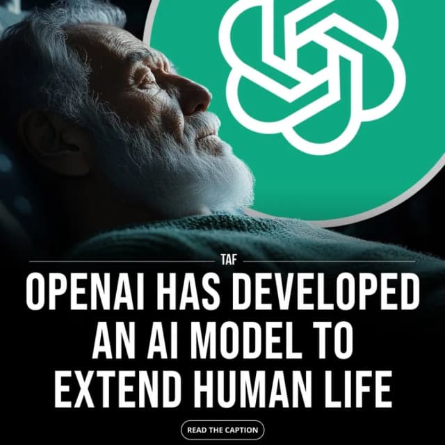 ISSUE 003 @theaifield