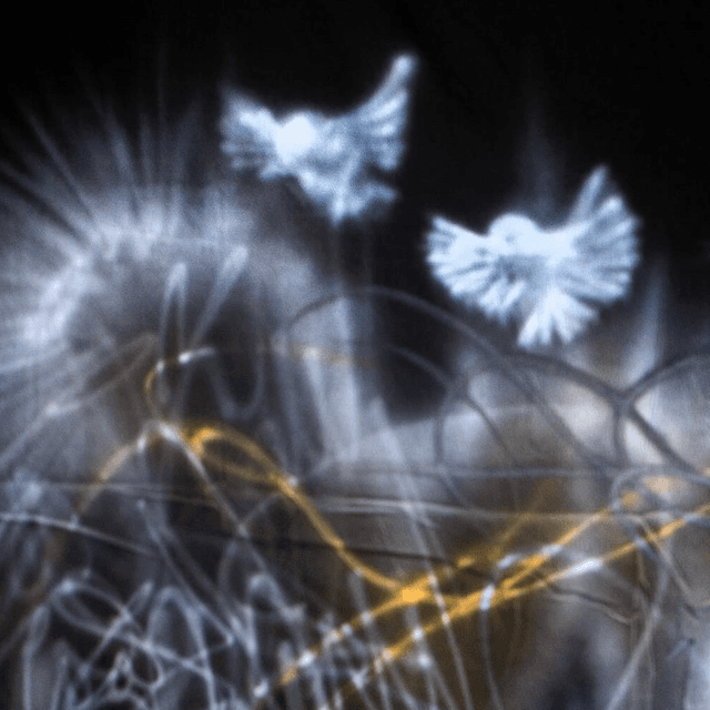 ISSUE 001 @mariimals