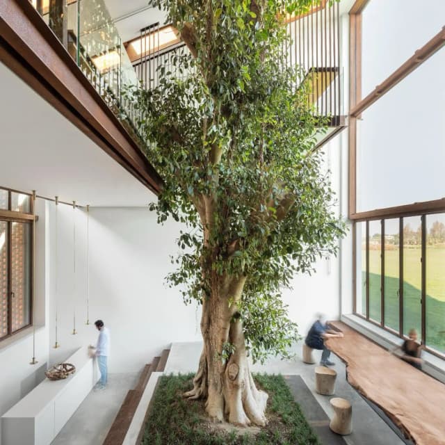 ISSUE 005 @crassociati