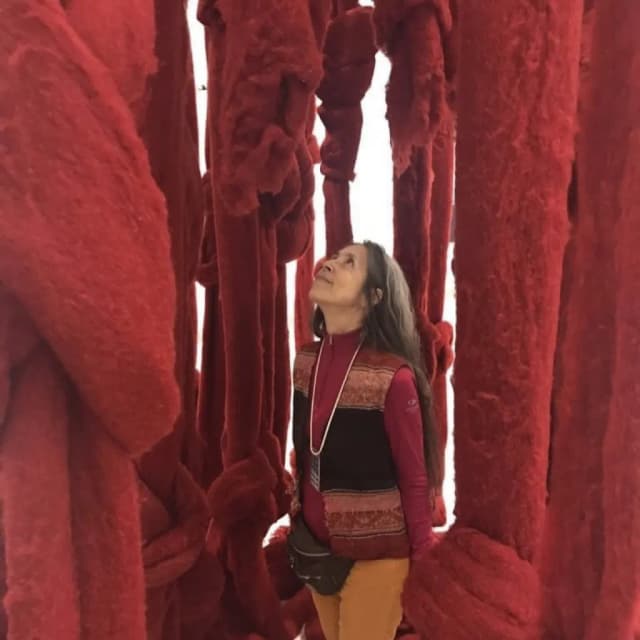 ISSUE 005 @ceciliavicuna