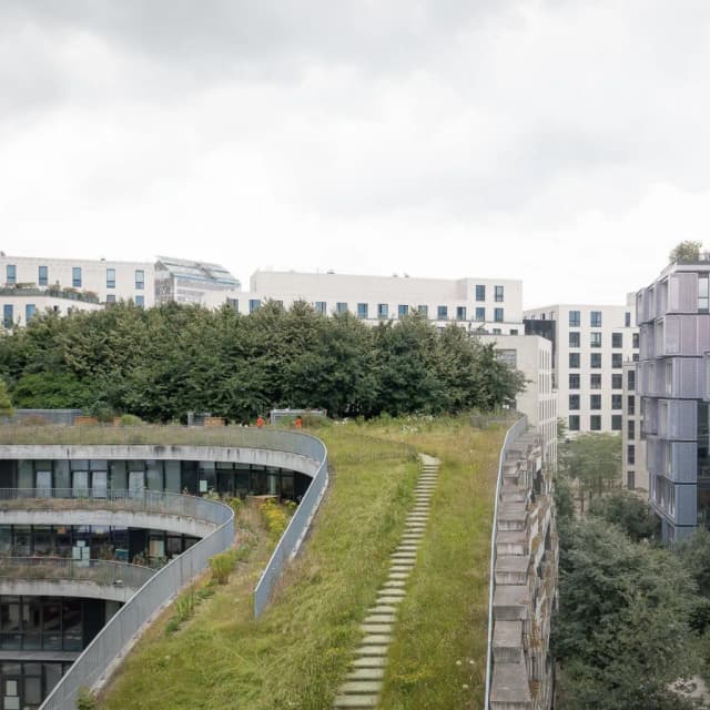 ISSUE 005 @chartierdalix