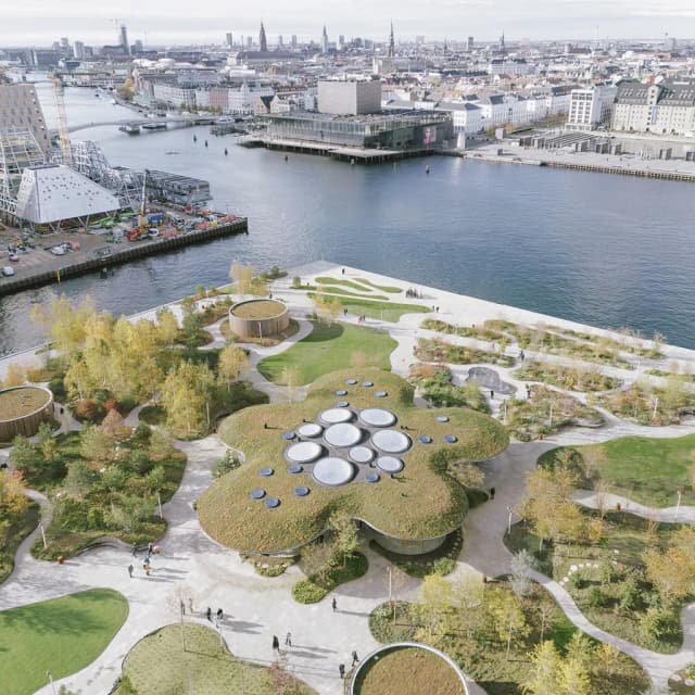 ISSUE 005 @cobearchitects