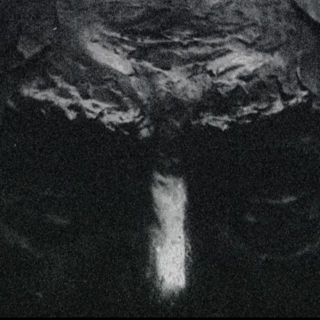 ISSUE 006 @leonando_99