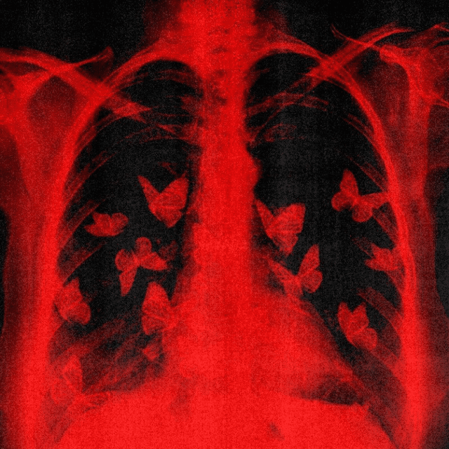 ISSUE 001 @achilleidol