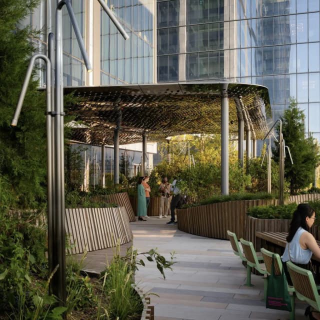 ISSUE 005 @scape_studio