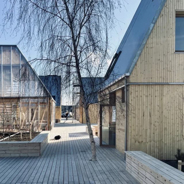 ISSUE 005 @effektarchitects