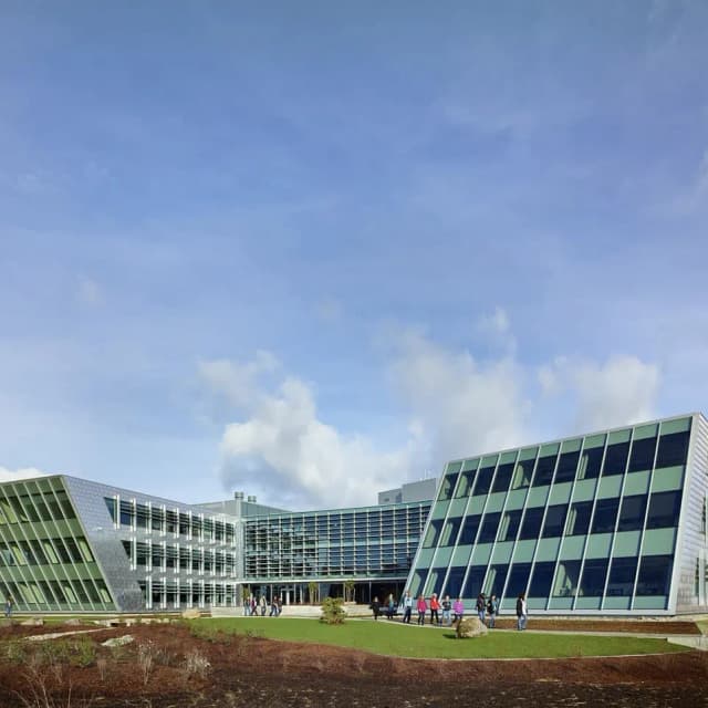 ISSUE 005 @zgfarchitects