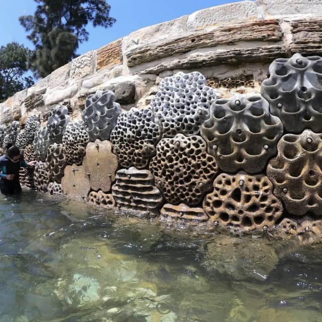 ISSUE 005 @reefdesignlab