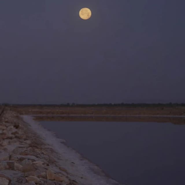 ISSUE 004 @Himali Singh Soin